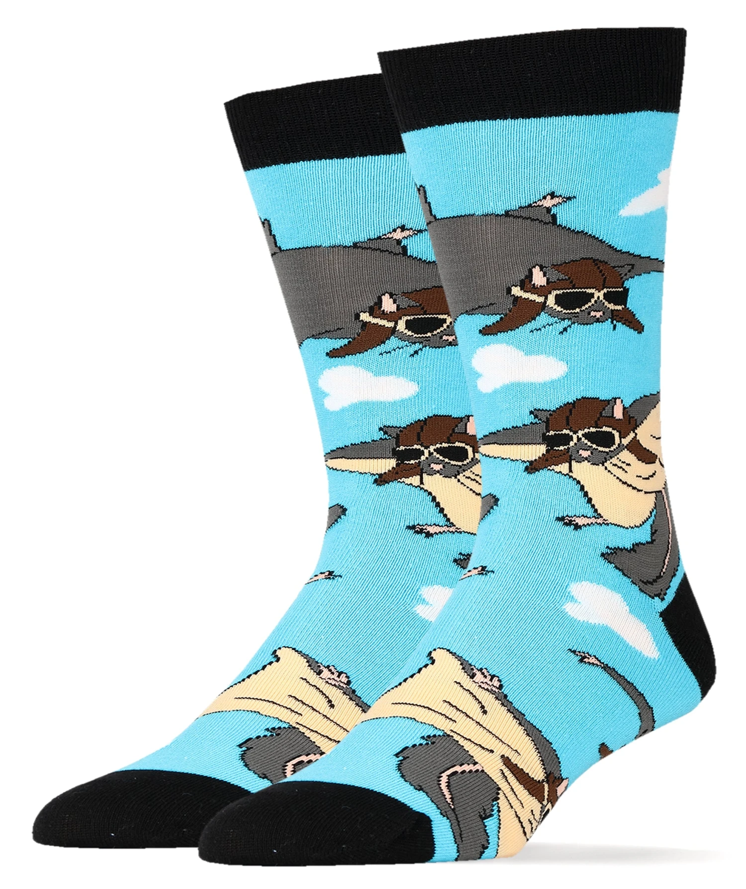 Flying Squirrles 1 Flying Squirrles